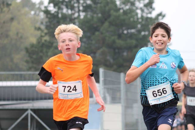 k-2024_crosscountry-land 300